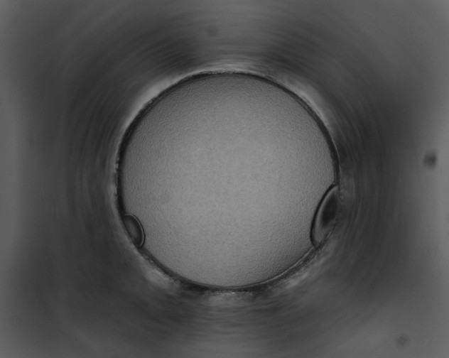 X0000101161093200807181353