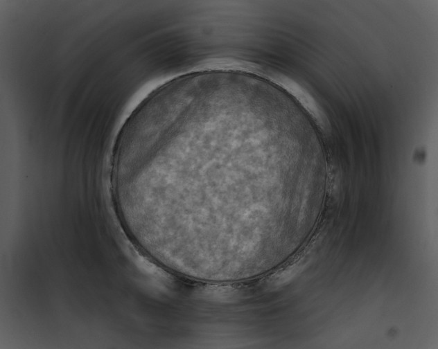 X0000101161094200807181353