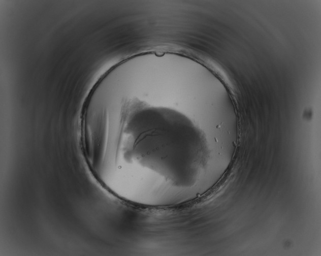 X0000101161095200807181353