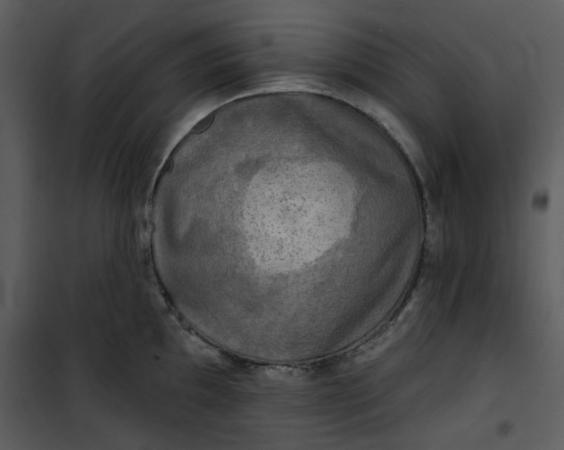 X0000101161097200807181353