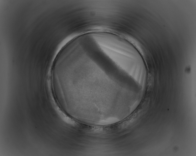 X0000101161098200807181353