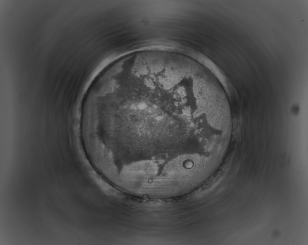 X0000101161099200807181353