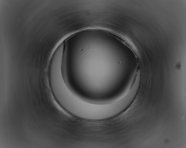 X0000101161100200807181352