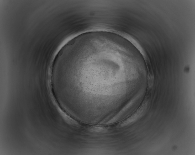 X0000101161101200807181352