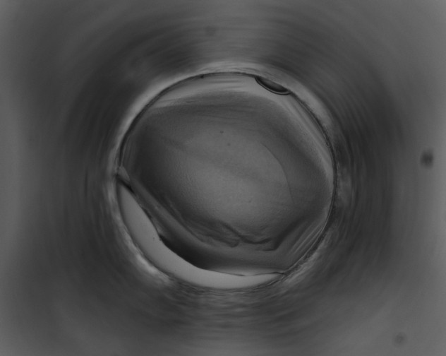 X0000101161102200807181352