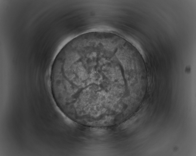 X0000101161103200807181352