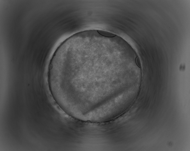 X0000101161104200807181352