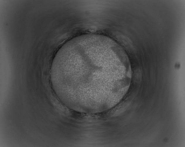 X0000101161105200807181352