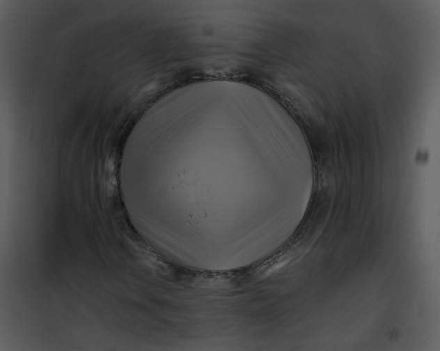 X0000101161106200807181352