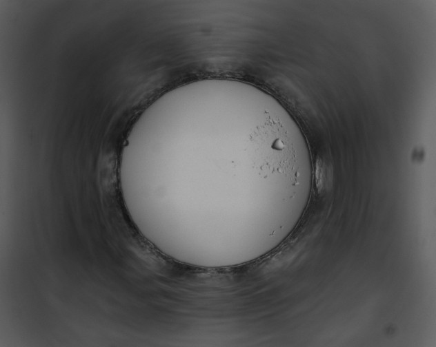 X0000101161107200807181352