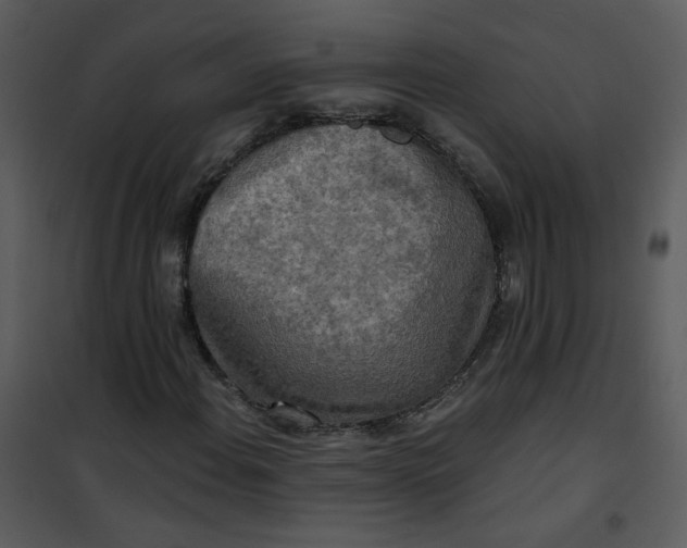 X0000101161108200807181352