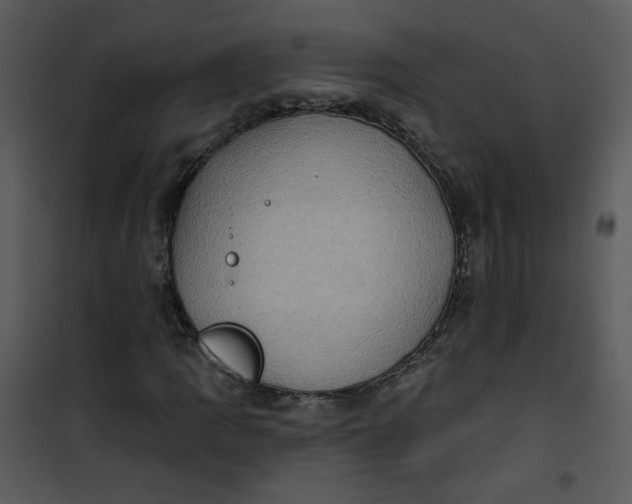 X0000101161109200807181352