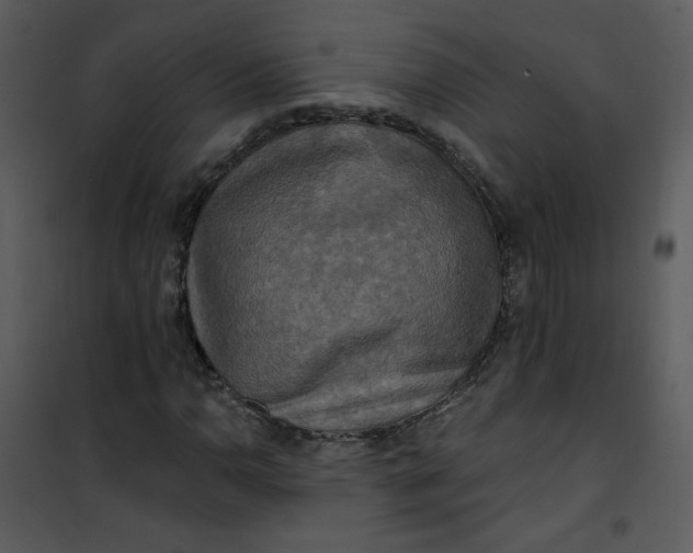 X0000101161110200807181352