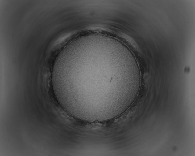 X0000101161111200807181352