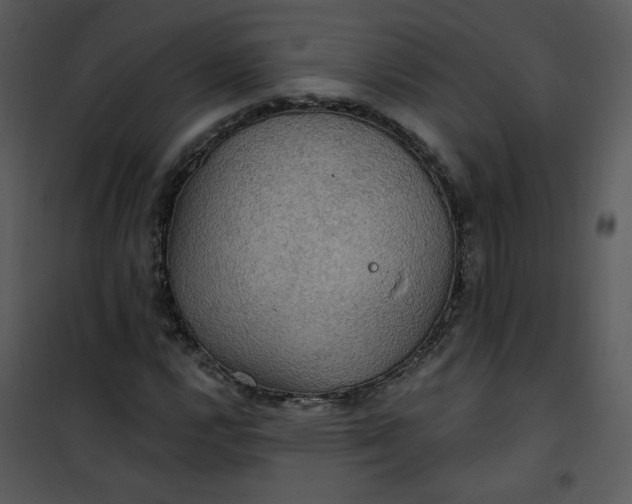 X0000101161112200807181352