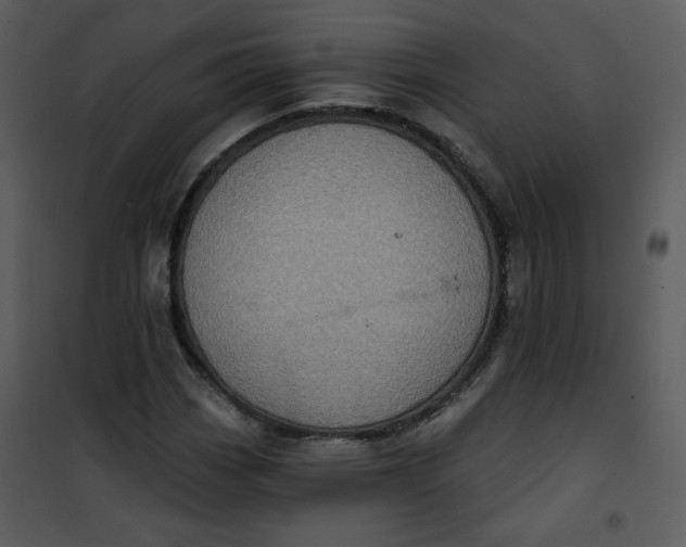 X0000101161113200807181352