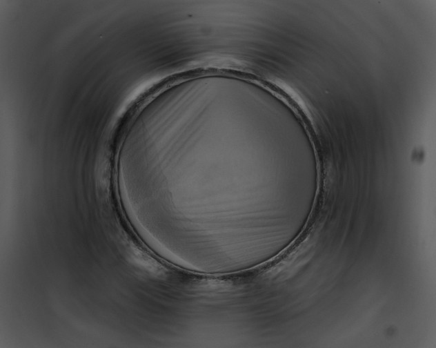 X0000101161115200807181352