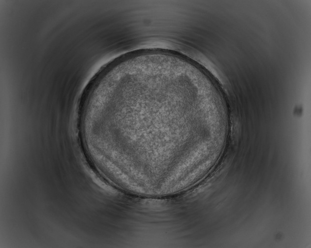 X0000101161116200807181352