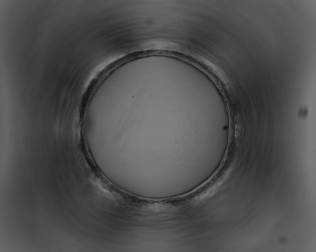 X0000101161117200807181352