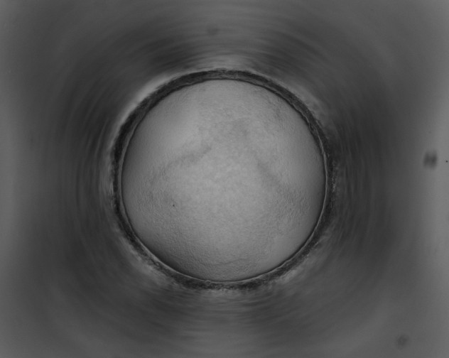 X0000101161118200807181352