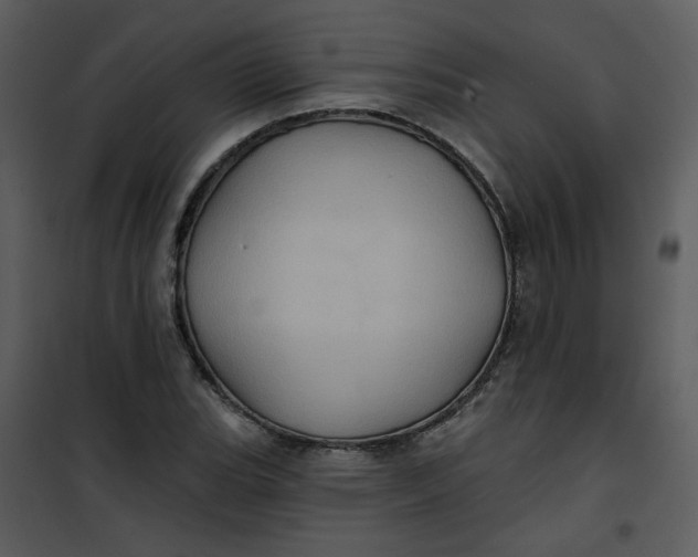 X0000101161119200807181352