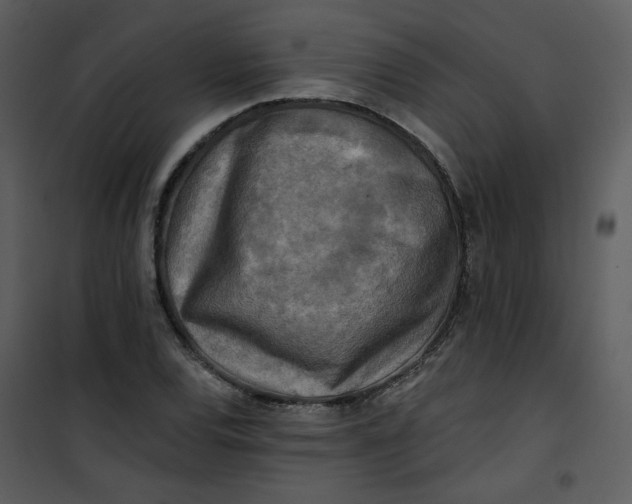 X0000101161120200807181352