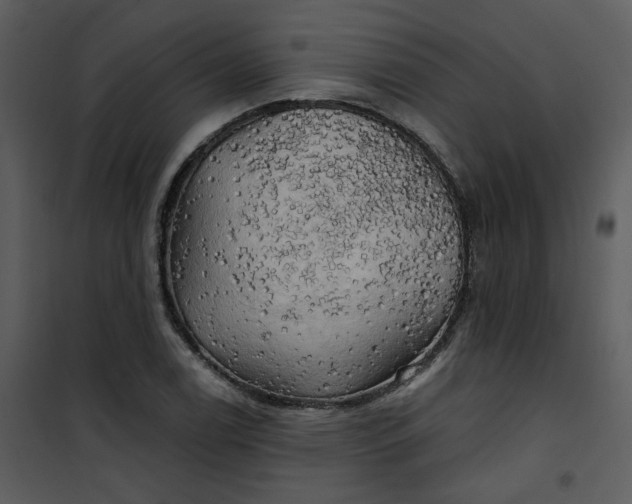 X0000101161122200807181352