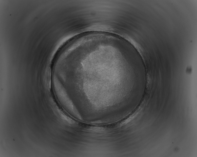 X0000101161123200807181352