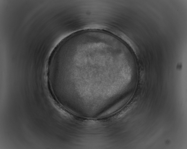 X0000101161124200807181352