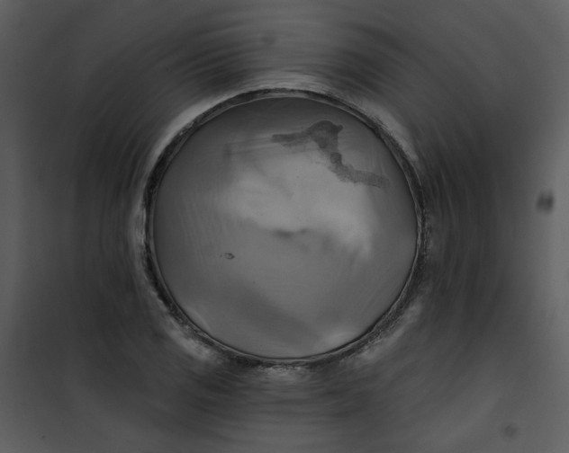 X0000101161125200807181352