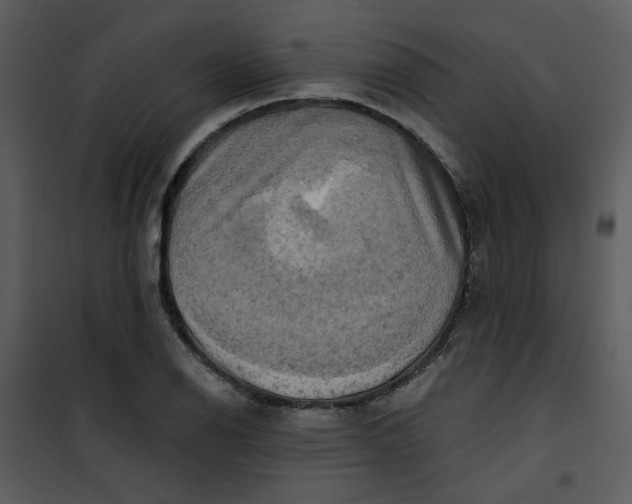 X0000101161126200807181352