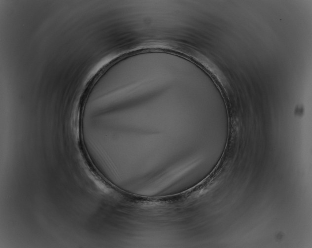 X0000101161127200807181352