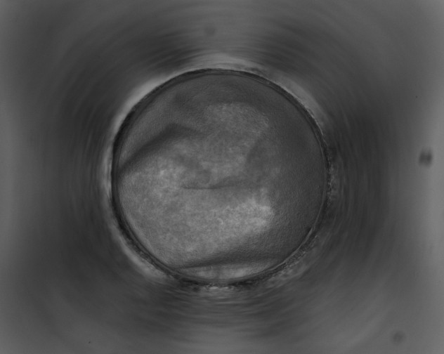 X0000101161128200807181352