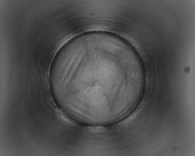 X0000101161129200807181352