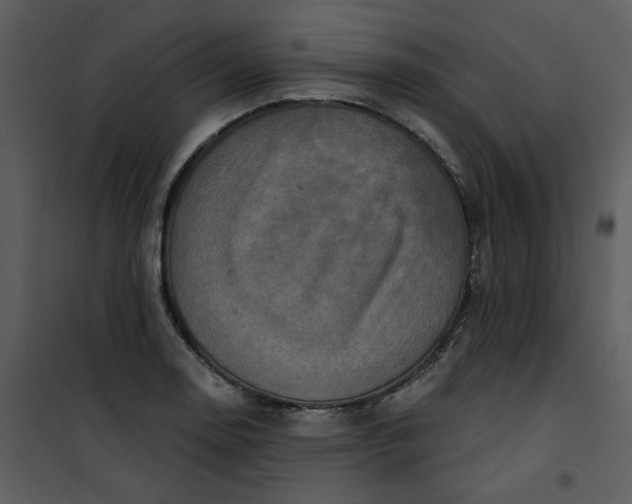 X0000101161130200807181352