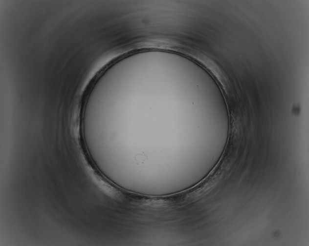 X0000101161131200807181352