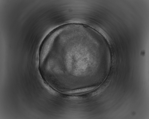 X0000101161132200807181352