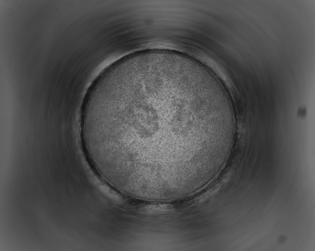 X0000101161133200807181352