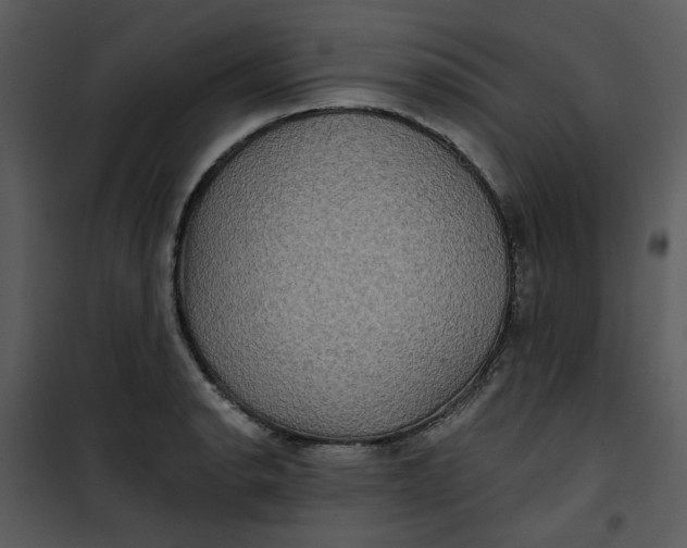 X0000101161134200807181352