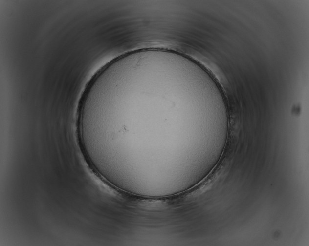 X0000101161135200807181352