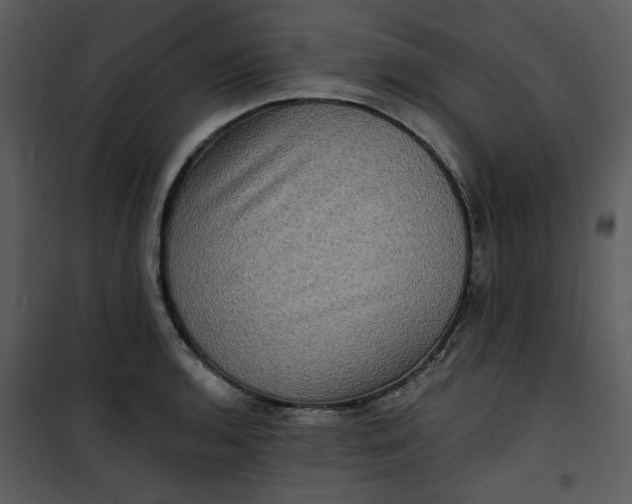 X0000101161136200807181352