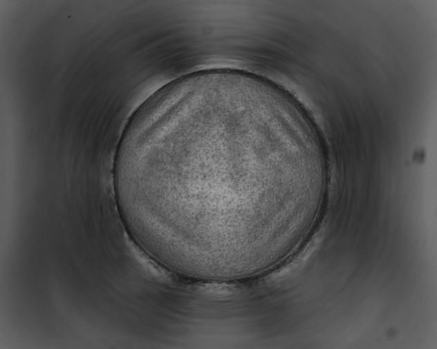 X0000101161137200807181352