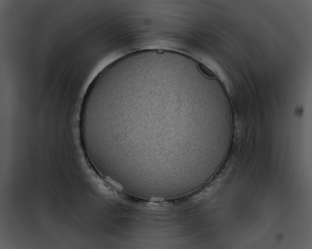 X0000101161138200807181352