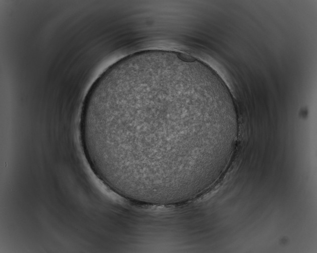 X0000101161139200807181352