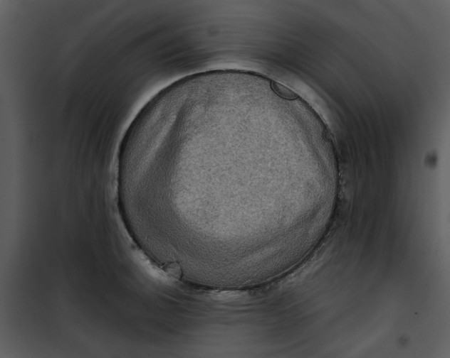 X0000101161140200807181352