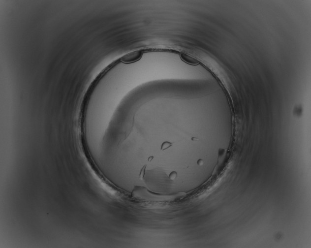 X0000101161141200807181352