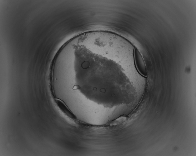 X0000101161142200807181352