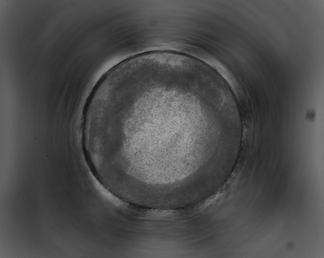 X0000101161143200807181352