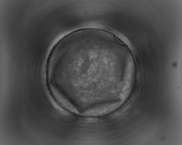 X0000101161144200807181352