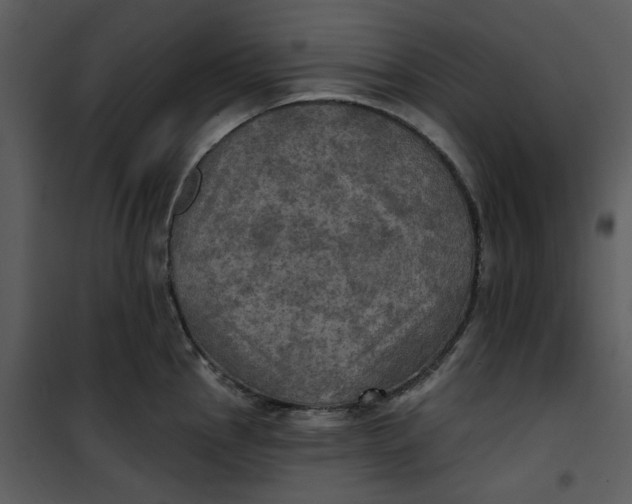 X0000101161145200807181352